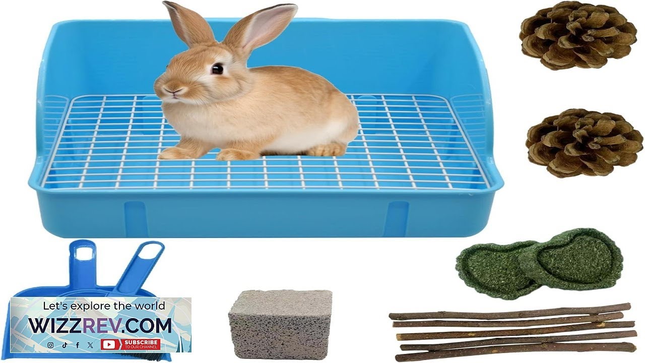 12 лотков для кроликов в клетку, уголок для обучения горшку для морской свинки