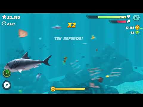 Ekran görüntüsü resmi