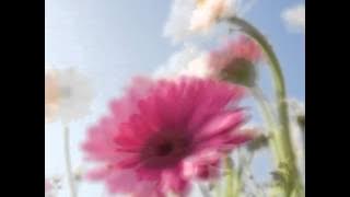 JUZ 5 The Holy Quran Abdul Rahman bin Abdul Aziz Sudais