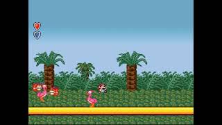 SMB2 Shyguy+Ostro Custom Sprite