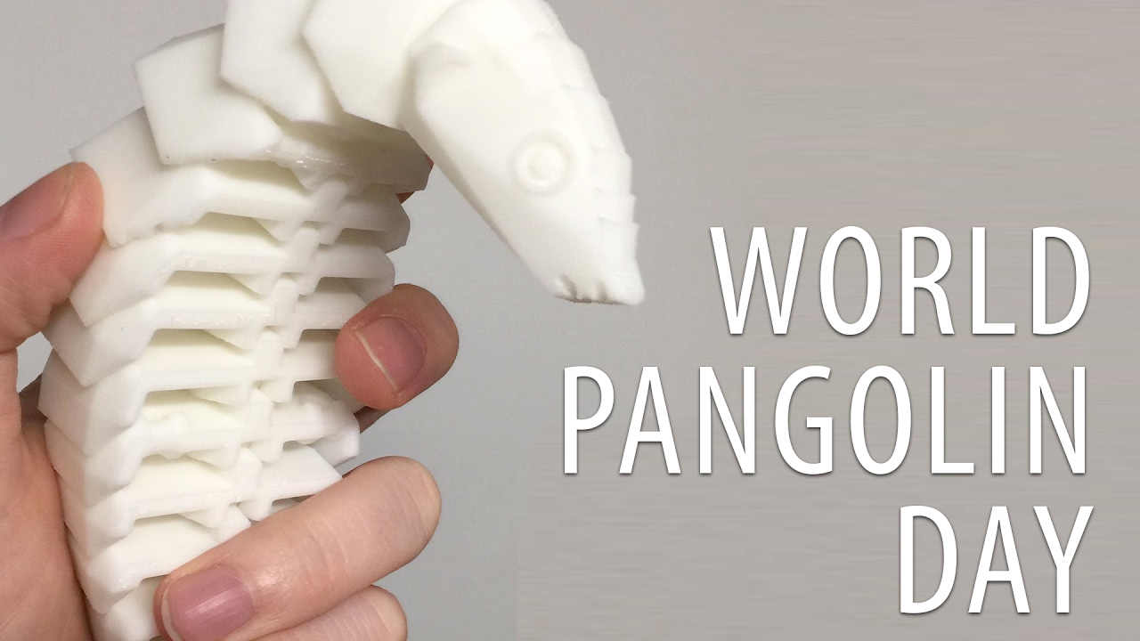 a Pangolin for #WorldPangolinDay - YouTube