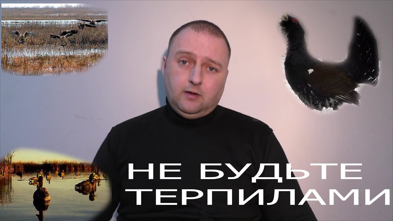 ТОНКОСТИ ВЕСЕННЕЙ ОХОТЫ ПО ПЕРУ. ОХОТА В ЗАКОНЕ.