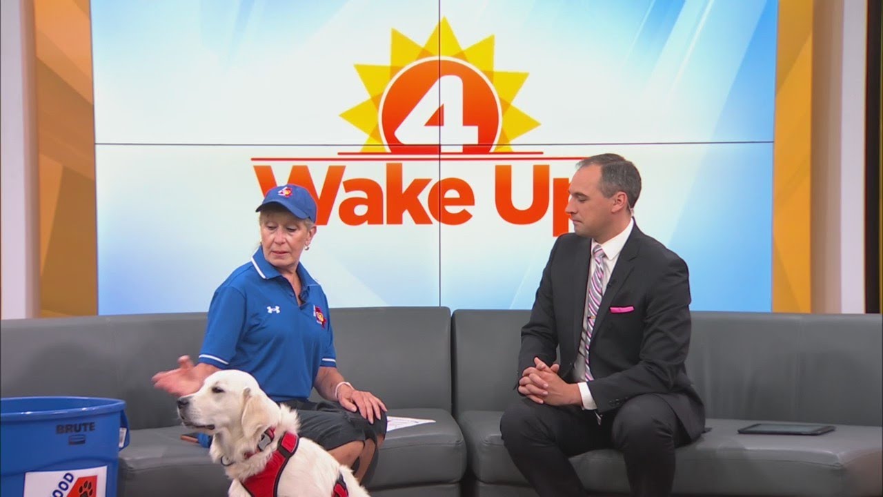 Food 4 Paws supports pet owners in need by providing pet food, supplies