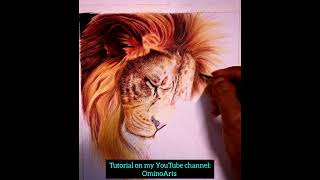 How to draw with ColoredPencil - step by step #tutorial #ColoredPencil #hyperrealistic #drawing