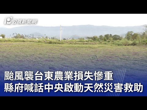 颱風襲台東農業損失慘重 縣府喊話中央啟動天然災害救助｜20241101 公視晚間新聞