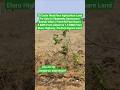 20 Cents West Face Agriculture Land For Sale In Vijaywada Gannavarm Beside Villa's Front 80 Feet R/d