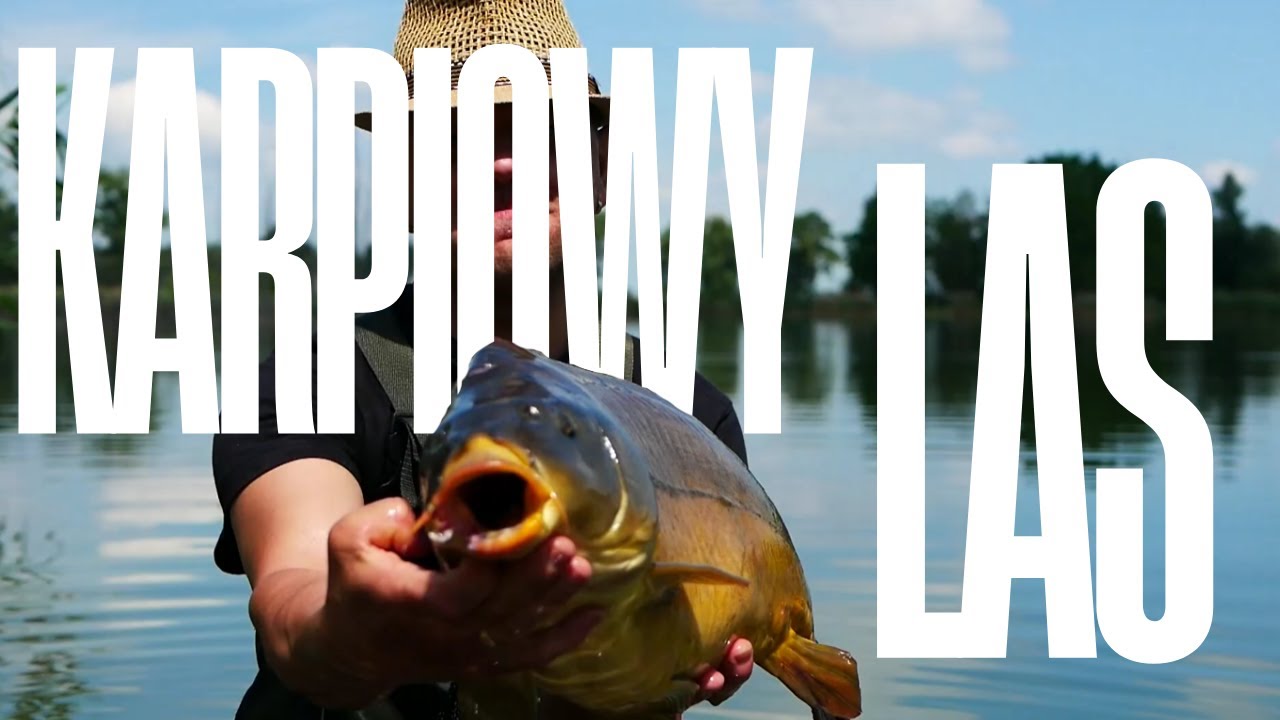 Pełna relacja z łowiska Karpowy Las – karpiowe emocje bez cenzury!