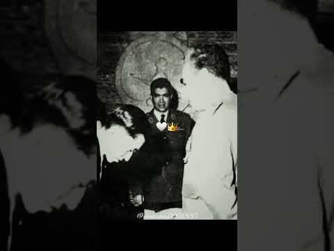 رضا شاه رضا شاه پهلوی زن زندگی ازادی مهسا امینی توماج صالحی شیر خورشید شاهزاده 