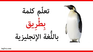 بطريق باللغة الإنجليزية l أسماء الحيوانات بالإنجليزية