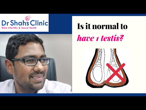 Video: One Testicle (Monorchism): Soalan Lazim Tentang Hidup Dengan Satu Testis