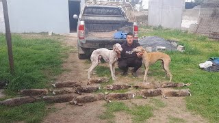 Agosto 2025, Juntada con amigos en Sacanta pcia de Córdoba.. Las 5 que corrí yo con mi yunta💪