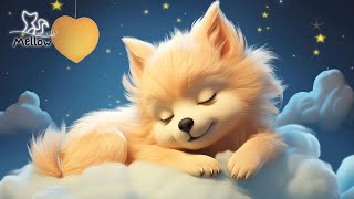 Peaceful Sleep Music for 3-Minute Quick Sleep - Eliminate Insomnia and Find Rest