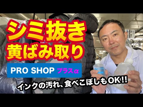 動画を再生