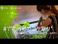 【アクアリウム】#7"スクレーパーで初めてのコケ取り"【初心者】