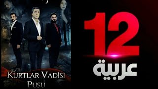 توقيت عرض المسلسل التركي وادي الذءاب الجزء 10 مترجم على قناة 12 عربية HD