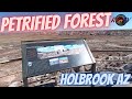 Petrified National Forest - Painted Desert - Holbrook Arizona