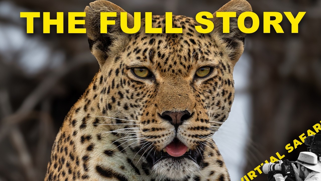 A Story I Didn't Want to Tell | Virtual Safari #323