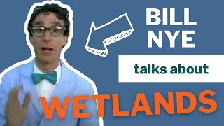 Fabulous Wetlands with Bill Nye The Science Guy (1989)
