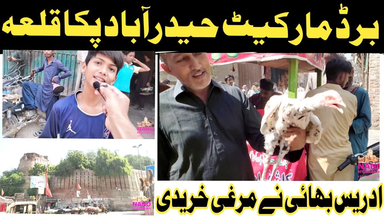 Pakka Qila Hyderabad Bird Market | Vlog No. 04 