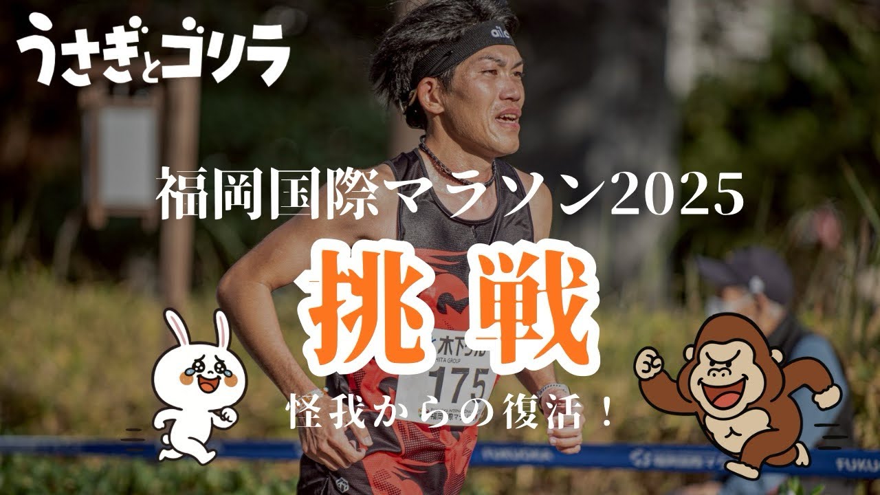 【福岡国際マラソン2025】怪我からの復活！？ゴリラはゴールに辿りつけるのか！？