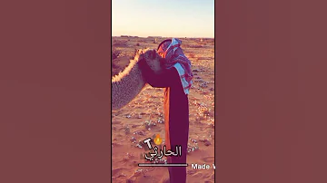 شيله عبد الله ال فروان ليه الجفاء بطئ 