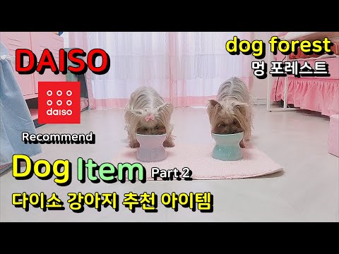 Best dog products on Daiso, Dog bowl stand | 다이소 추천 강아지 제품, 강아지 식기, 강아지 밥그릇 추천 Part 2