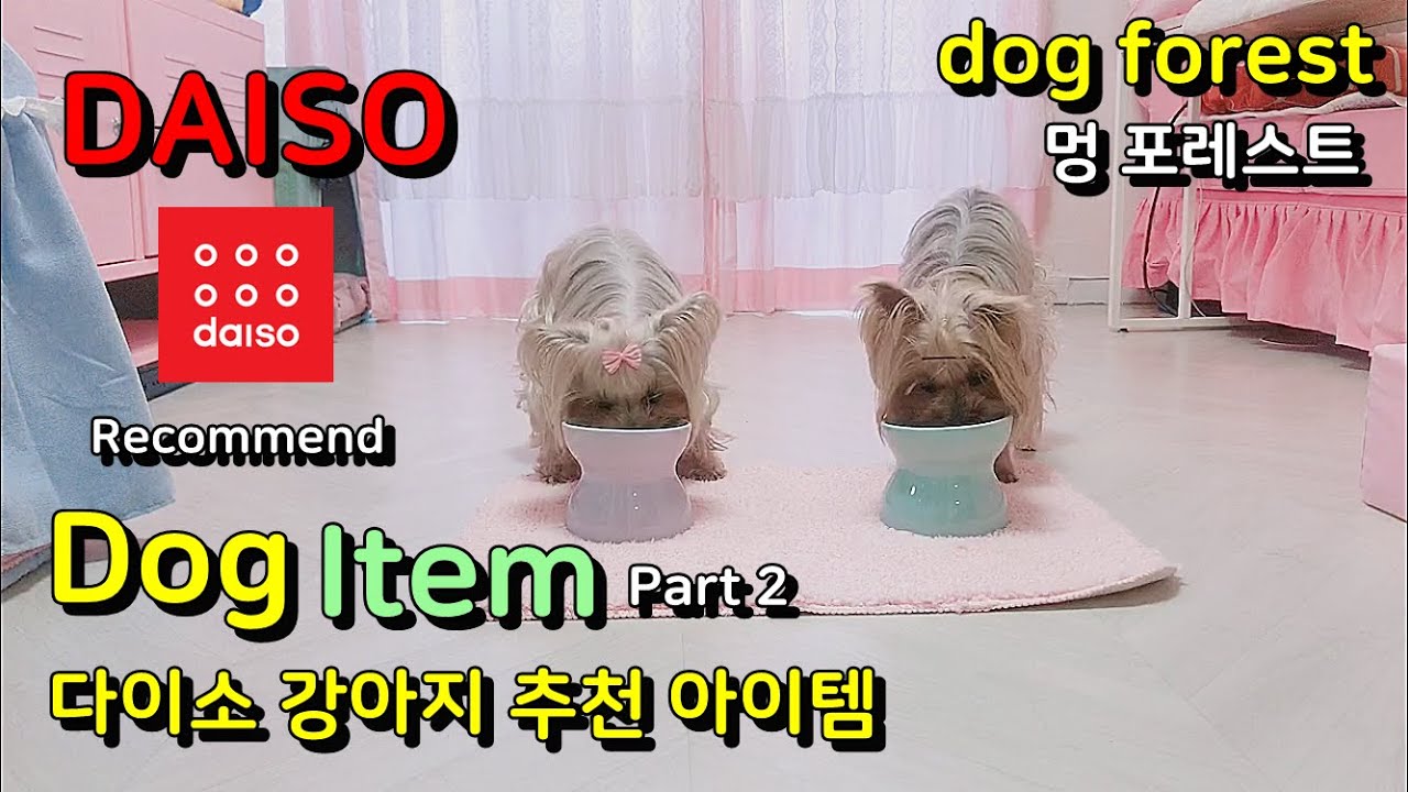 Best dog products on Daiso, Dog bowl stand 다이소 추천 강아지 제품, 강아지 식기, 강아지 밥그릇 추천 Part 2 YouTube