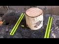 Woodturning  aspen log to hollowform bowl