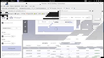 PrimeDice - AutoBot - Big Wins @ Prime Dice