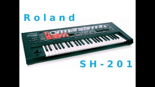 Playing the Roland SH-201 - Carlo Mezzanotte