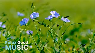 Positive piano music for a good mood. Music for work and study / Music for a better mood