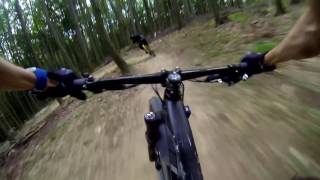 Trailpark Weidlingbach: Fun-Line