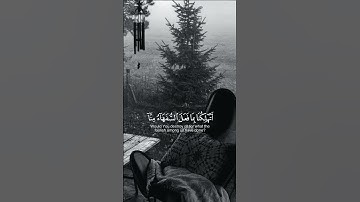 ولما سكت عن موسى الغضب - القارئ { علي جابر }