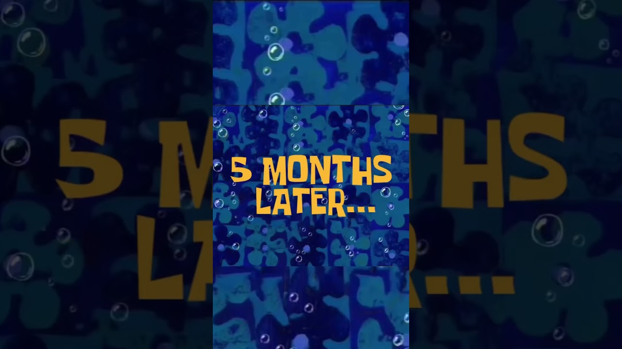 Biota Yellow Tang Update 5 Months Later 💛