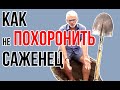 Посадочная яма / Как сажать плодовые деревья / Игорь Билевич