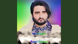 Wathan - Baqi Shoqi