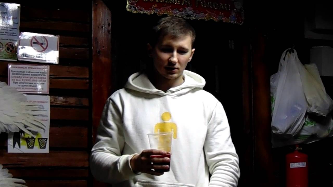 Новогодний Тост От Домотехники