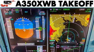 Unique View! AIRBUS A350XWB Instruments + Pilotsview on takeoff from Addis Ababa
