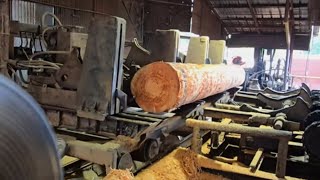 Sawing A 101020 Southern Yellow Pine Beam Log On The Mill With A 66 Solid Tooth Circular Saw