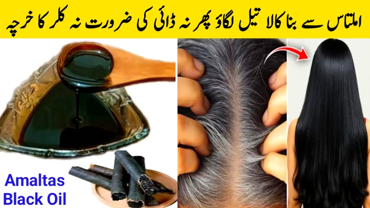 Amaltas Black Hair Oil for white hair | 10 Rupay mai Permanent Black Hair at Home Homemade Hair oil