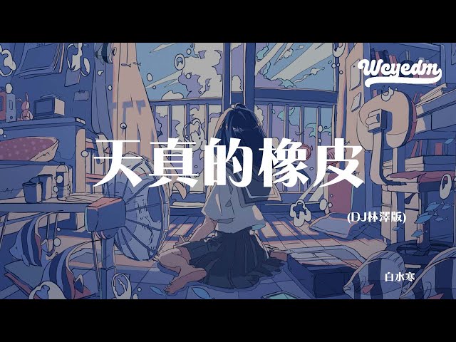 白水寒 - 天真的橡皮（DJ林泽版）「人生呐 能不能放过我这一次」【動態歌詞/pīn yīn gē cí】#白水寒 #天真的橡皮 #動態歌詞