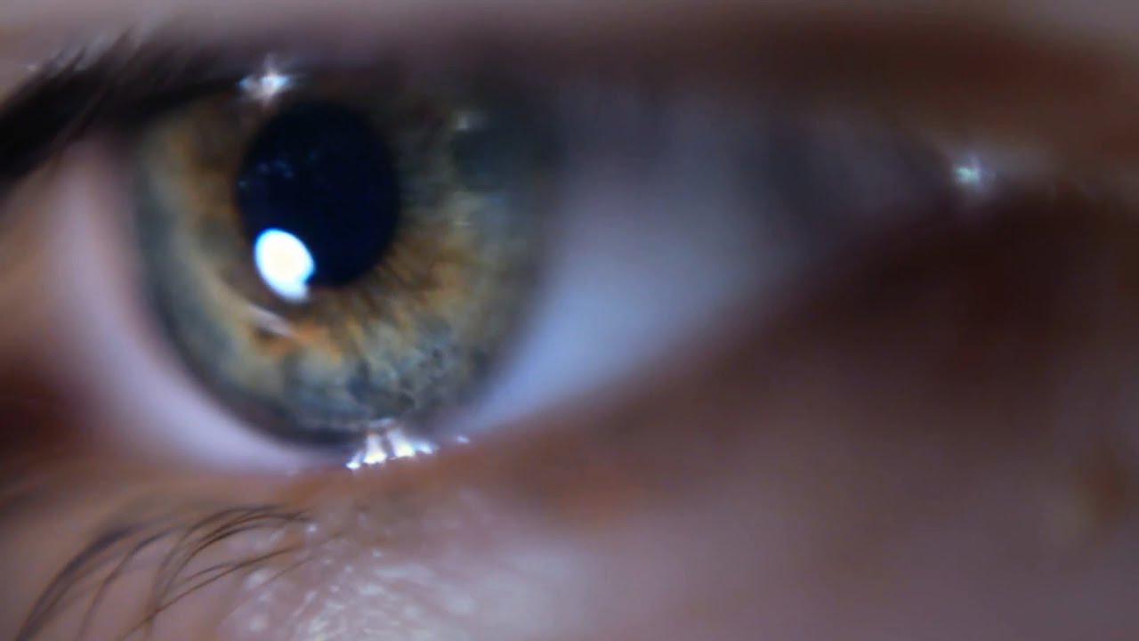 Jakub Nox Ambroziak - Treebeard in the Dead Wood (Official Video)