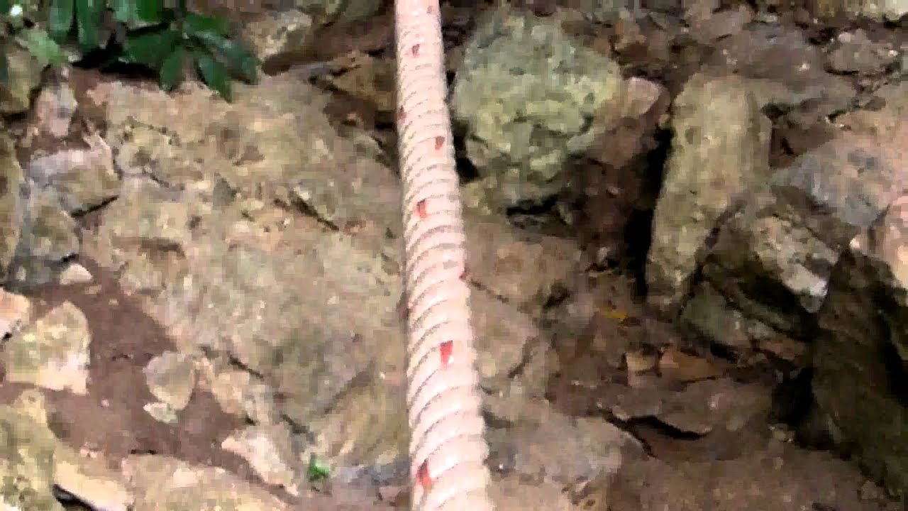 The Secret Trail to the Caves of Marine Park off Koh Phangan
