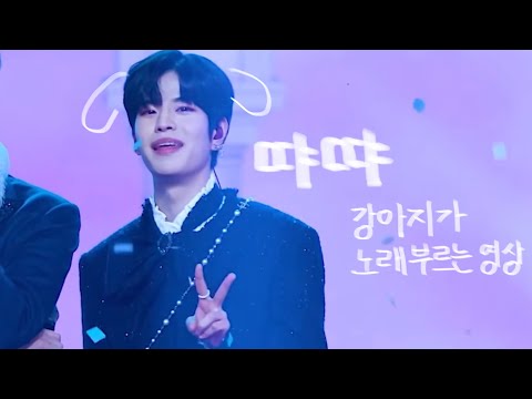 [스트레이키즈 승민] 2분동안 땨땨 명창강쥐가 트위드 자켓입고 노래 부르는 영상