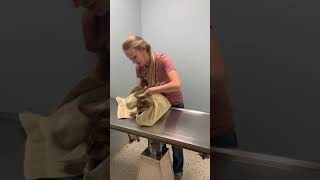 Trim Fc53150C F840 40B1 85Bc 7915E087De30