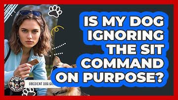Is My Dog Ignoring The Sit Command On Purpose? - Obedient Dog Guide