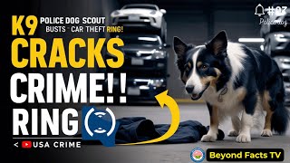 Police Dog Scout Busts Car Theft Ring 🐾🔍 | USA Crime
