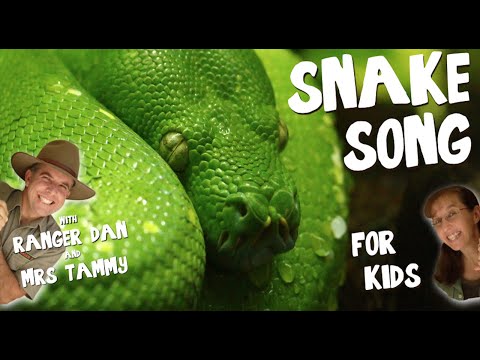 SNAKE SONG FOR KIDS | Australian Animal Songs | Animal Songs | Kids Songs | Creation Connection
