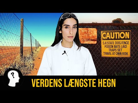 Video: I hvilket land er den sydligste by i verden?