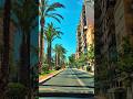 ALICANTE 🌴🌅 SPAIN🇪🇦 #alicante #spainescape #spain #españa #movetospain #alicantespain